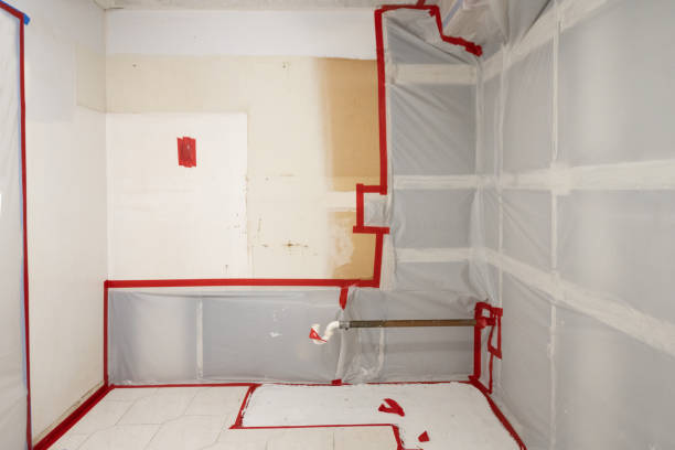 Best Biohazard Mold Removal  in West Perrine, FL