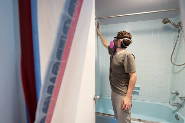 Best Black Mold Removal  in West Perrine, FL