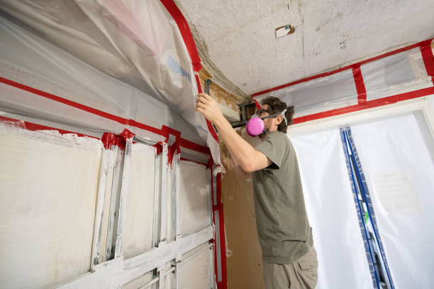 Forensic Mold Investigation in West Perrine, FL