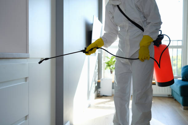 Best Mold Removal for HVAC Installations  in West Perrine, FL