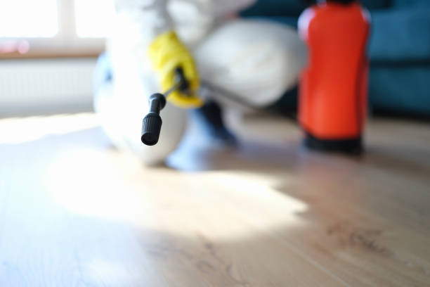 Best Indoor Air Quality Assessment  in West Perrine, FL