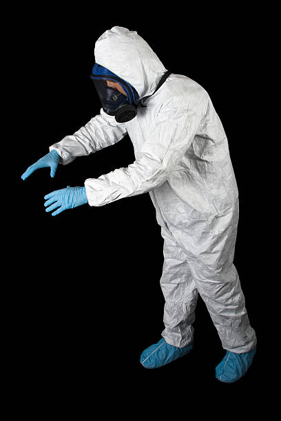Best Mold-Related Health Consultation  in West Perrine, FL