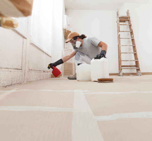 Best Mold Damage Restoration  in West Perrine, FL