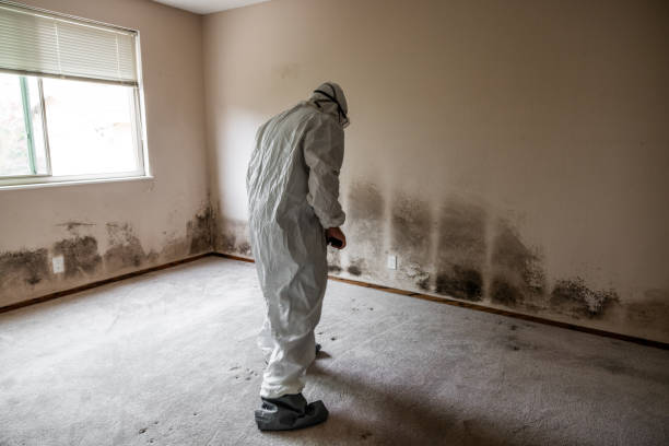 Best Mold Remediation for Healthcare Facilities  in West Perrine, FL