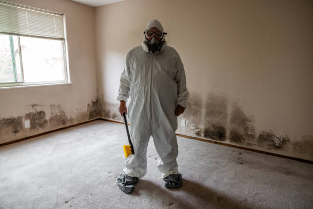 Best Crawl Space Mold Remediation  in West Perrine, FL